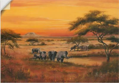 Produktbild von ARTland Wandbild, selbstklebend Afrika Elefanten Größe: 70x50 cm