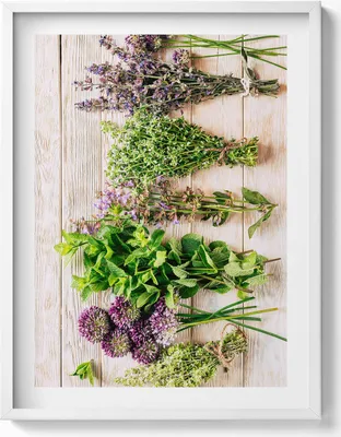 Produktbild von Pflanzen und Kräuter auf Brettern– Wandbild mit Rahmen – Gerahmtes Bild  – Wanddekoration – 60x80 cm –  Weiß Rahmen