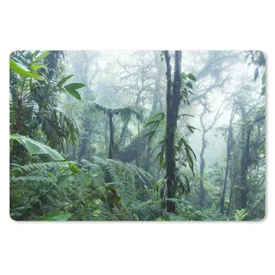 Produktbild von MuchoWow® Mauspad Mousepad Nebliger Regenwald in Costa Rica 27x18 cm - Mousepads - Maus Mat - Pad - Mausunterlage - Büroartikel - Desk Matten