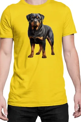 Zdjęcie produktu dla Męska Koszulka Dogs Breeds Rottweiler Dog Breed 005, Man M / Żółty
