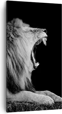 Produktbild von Bild auf Leinwand - Leinwandbild - Einteilig - Löwe Gähnen Schwarz und Weiß - 45x80cm - Wand Bild - Wanddeko - Wandbilder - Leinwanddruck - Bilder - Wanddekoration - Leinwand bilder - PA45x80-4252