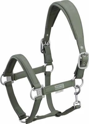Image de Eskadron Platinum HW22 Licol en cuir Doublepin