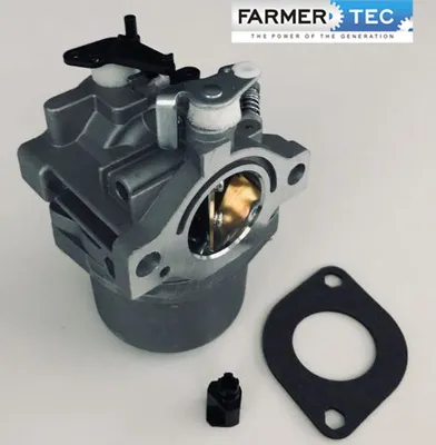 Produktbild von Vergaser Für Briggs&Stratton 495706, 498027, 498231, 499161, 799728 Farmertec