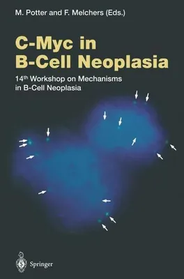 Immagine prodotto di C-Myc nelle neoplasie delle cellule B