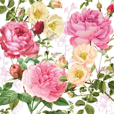 Produktbild von Servietten 33x33 cm - Rosalie