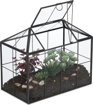 Image de Terrarium végétal Relaxdays, verre et étain, serre décorative pour cactus et mousse, boîte en verre pour rebord de fenêtre, noir