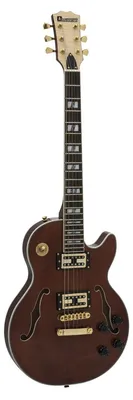 Imagen del producto de DIMAVERY LP-600, guitarra eléctrica, color marrón