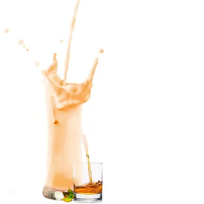 Obrázek produktu pro Whiskey milkshake v prášku 10 kg