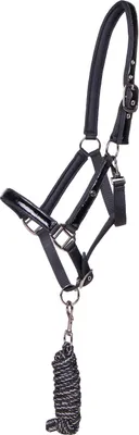 Produktbild von QHP Halfter-Set Djune