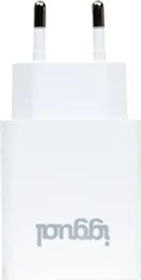 Produktbild von iggual IGG318188, Drinnen, AC, 5 V, 2,4 A, Weiß