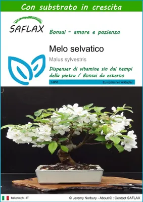 Immagine prodotto di SAFLAX  - Melo selvatico - 30 semi - Con substrato - Malus