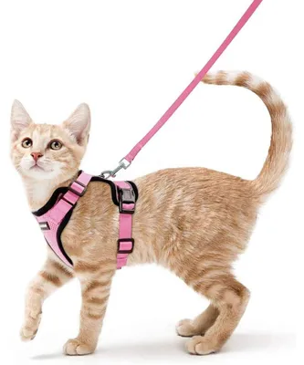 Image de Collier pour chat avec laisse, anti-fuite, réglable, rose, taille S