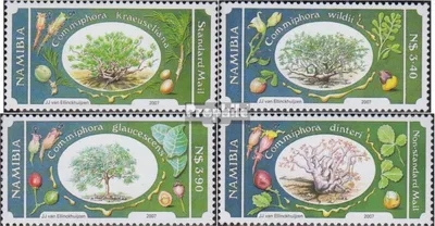 Produktbild von Briefmarken Namibia - Südwestafrika 2007 Mi 1243-1246 (kompl.Ausg.) postfrisch Balsambaumgewächse