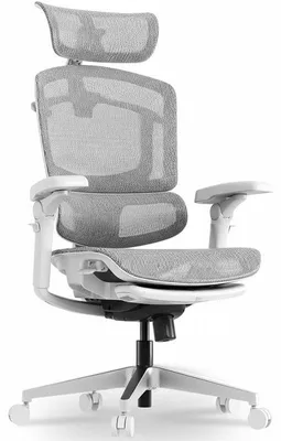Obrázek produktu pro Ergonomická kancelářská židle OS250G ErgoX PRO, nosnost 250 kg, šedá