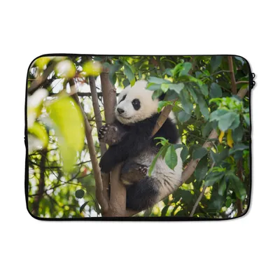 Produktbild von MuchoWow® Laptop Hülle 13 Zoll Panda - Tier - Baum Laptoptasche - Laptophülle - Sleeve - Rundumschutz