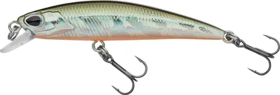 Obrázok produktu pre Berkley DEX Bullet Jerk TSR (Minnow)