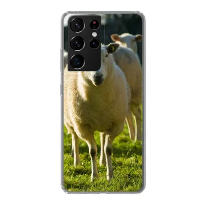 Produktbild von MuchoWow® Handyhülle Schutzhülle Hülle für Samsung Galaxy S21 Ultra Schafe - Tiere - Wolle Silikon Softcase Handy Hülle - Mobiltelefon