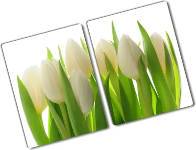 Produktbild von Tulup Glas Herdabdeckplatte - 2x40x52 cm - Glaskeramikkochfeld-Abdeckung Spritzschutz Glasabdeckplatte Kochplattenabdeckung und Schneidebrett - Zweiteilig - Blumen & Pflanzen - Tulpen - Grün