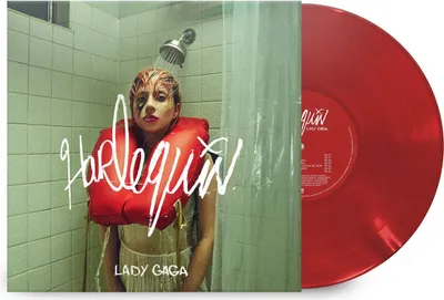 Lady Gaga in a shower with a life vest, with a red vinyl record next to it.