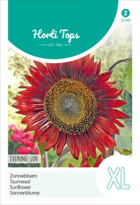 Produktbild von Sonnenblume Abendsonne | Sonnenblumensamen von Hortitops