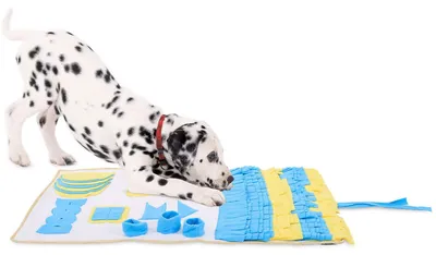 Immagine prodotto di tappeto lionto sniffer per cani, tappeto per giochi di intelligenza e cibo, antiscivolo e di facile manutenzione, 100x60 cm, giallo/blu