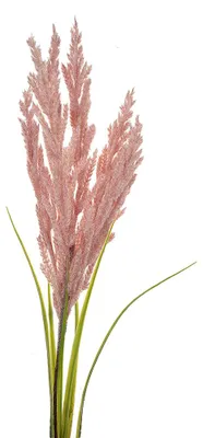 Productafbeelding van Clayre & Eef Kunstbloem, 100 cm, roze, kunststof