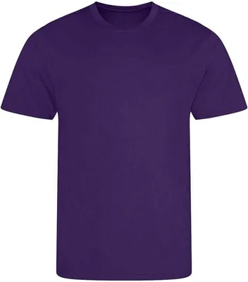 Image de AWDis Cool - T-shirt pour homme PC5211 (3XL) (Violet)