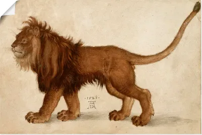 Produktbild von ARTland Poster Löwe. 1521 Größe: 90x60 cm