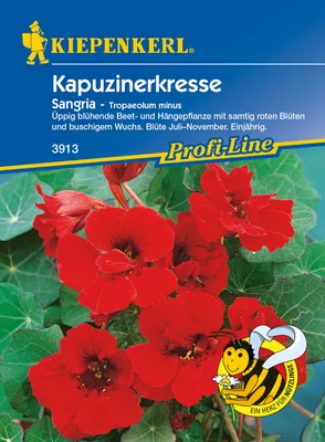 Produktbild von Kapuzienerkresse Sangria | Kapuzinerkressesamen von Kiepenkerl [MHD 01/2024]