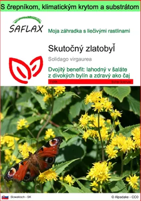 Obrázok produktu pre SAFLAX Garden to go - Skutočný zlatobyľ - Solidago virgaurea - 100 Semená - S črepníkom, klimatickým vekom a pestovateľským substrátom
