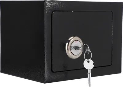 Immagine prodotto di Cassaforte di sicurezza - Robusta e sicura cassaforte a chiave per denaro e oggetti di valore, in acciaio, ideale per la casa e l'ufficio