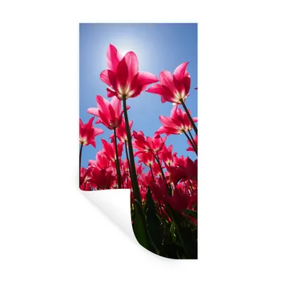 Produktbild von MuchoWow® Wandtattoo Wandsticker Wandaufkleber Rosa Tulpenfeld 40x80 cm Selbstklebend und Repositionierbar - Repositionierbar - Wasser abweisend