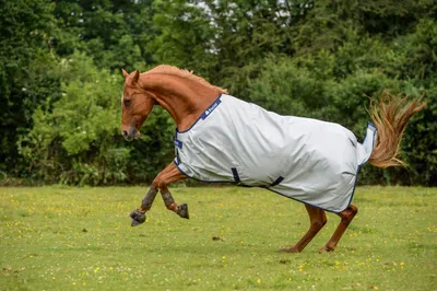 Produktbild von Bucas Outdoordecke 0g Power Turnout Light Big Neck Regendecke Silver 140
