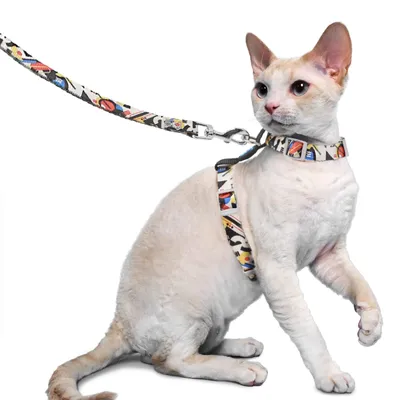 Imagen del producto de Arnés para gatos, ajustable, ligero, seguro, con correa, ideal para paseos