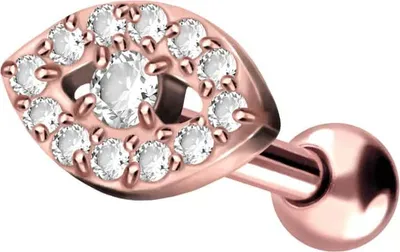 Produktbild von Ohrpiercing Titan Ohrpiercing KRISTALLAUGE