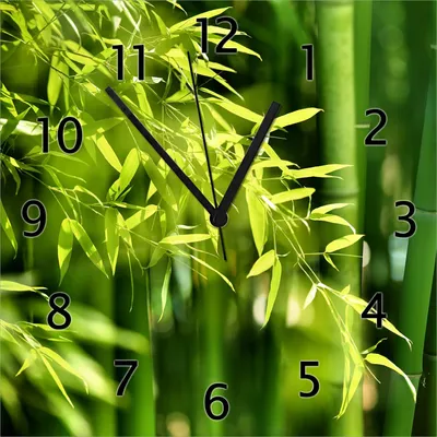 Produktbild von Wallario Design Wanduhr Bambuswald mit grünen Bambuspflanzen aus Echtglas, Größe 30 x 30 cm
