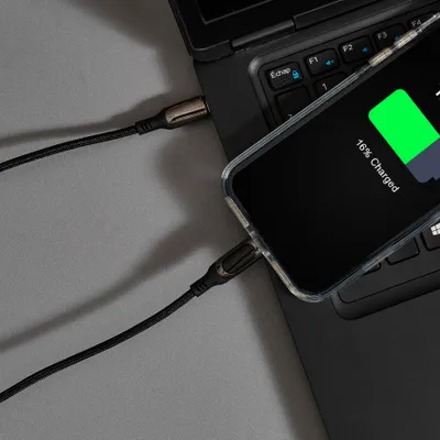 Image de Cable De Charge C To L Wattmetre 30w 1m