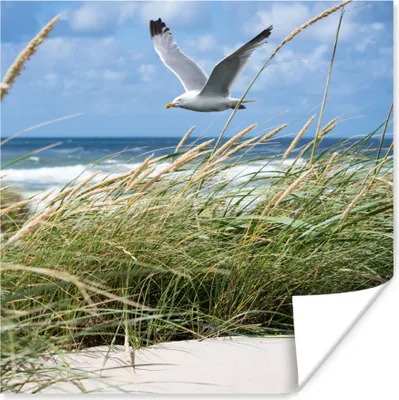 Produktbild von MuchoWow® Poster Strand - Pflanzen - Vogel 100x100 cm - Babyzimmer