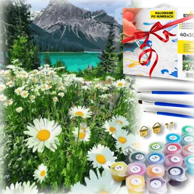 Produktbild von Handgemalte Bilder, Malen nach Zahlen, Set, See, Berge, Blumen
