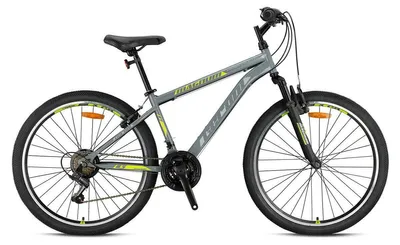 Produktbild von 24 Zoll Mountainbike Kinder MTB Fahrrad Rad Bike MAGNUM GRAU GRN26-067