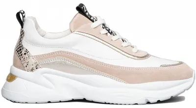 Produktbild von Nero Giardini Damen Sneaker in Gr. 40