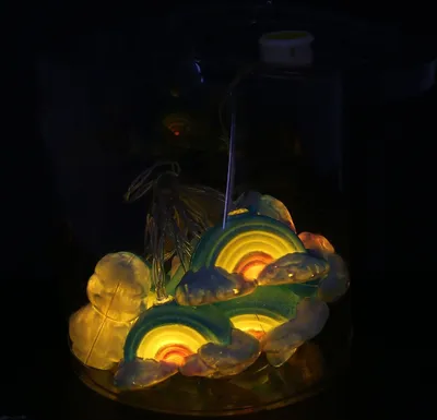 Image de Chaîne lumineuse LED RAINBOW 165cm, 10 ampoules
