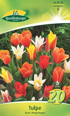 Artikelbild 2 von 'Tulpe botanische Regenbogen Mischung (20 Stück)' aus der Kategorie Tulpenzwiebeln