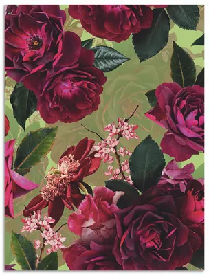 Produktbild von ARTland Wandbild Alu für Innen & Outdoor Dunkle Rosen auf Grün Größe: 60x80 cm
