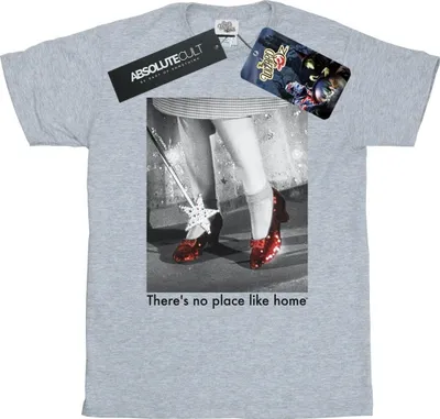 Produktbild von The Wizard Of Oz - T-Shirt für Damen BI51743 (M) (Grau)