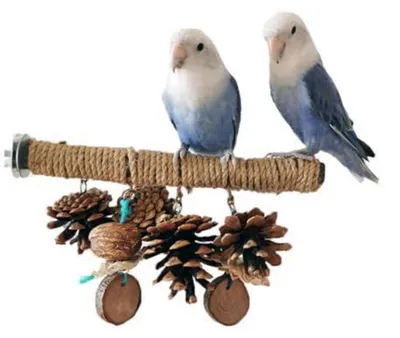Produktbild von Naturholz Sitzstange für Vögel 20cm für Wellensittich Nymphensittich Kanarienvogel