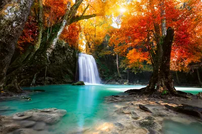Produktbild von Fototapete - Deep Forest Waterfall 375x250cm - Vliestapete