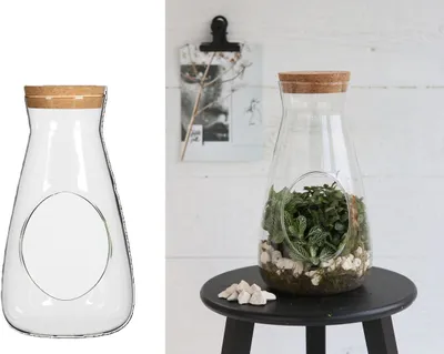 Produktbild von Zylinder Vase mit Korken in zwei Größen wählbar | Pflanzenterrarium, Größe:h.22cm Ø12