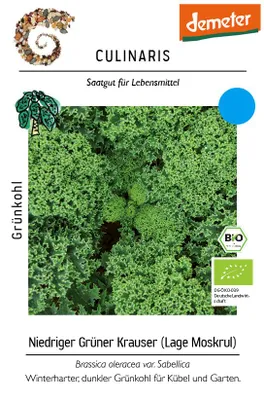 Artikelbild 1 von 'BIO Grünkohl Niedriger Grüner Krauser' aus der Kategorie Grünkohlsamen