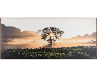 Obrázek produktu pro Obraz v rámu Shadow Strom 59 x 134 cm